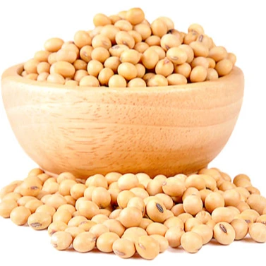 HOT! The competitive price Viet Nam - Canada Soybeans Yellow GMO With The most Healthy From Duy Minh Packing In Bulk