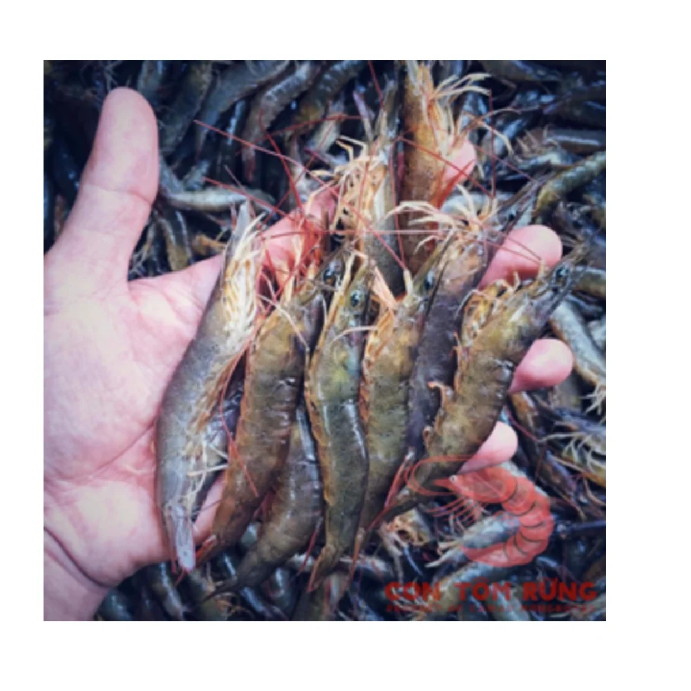 Best Quality Prawn Wholesale Raw Fresh Water Seafood Box 100% Natural Frozen Shrimp From Mangrove Forests Export From Vietnam