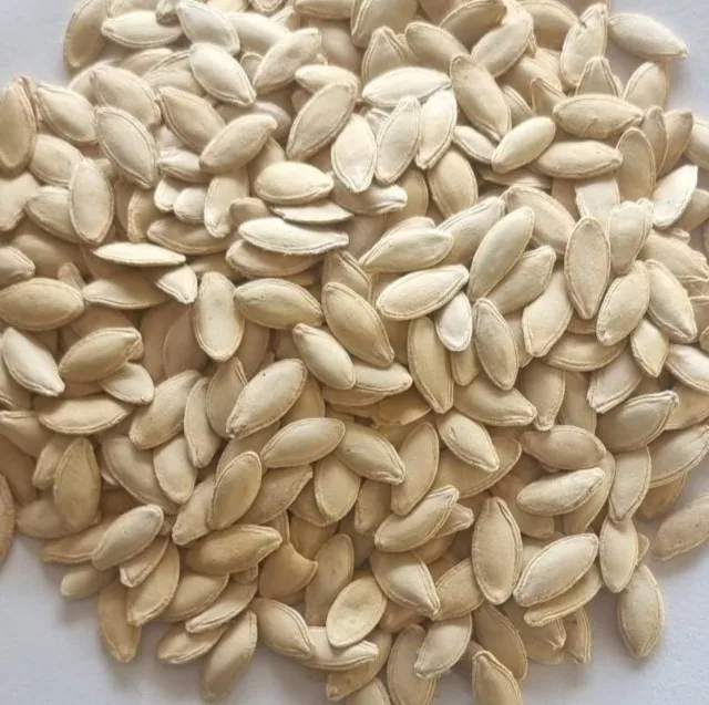 LADY NAIL 7+ Pumpkin seeds Inshell Food & Bavereges Nuts & Kernels Wholesale Packaging BREVIS Raw BRS IFS