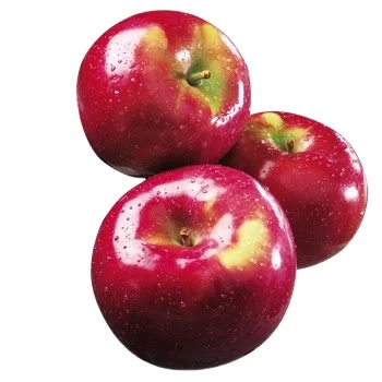 New crop Fresh Apple for Sale Fuji Apple sweet fresh royal gala apple fresh fuji and red star apples and other fresh fruits
