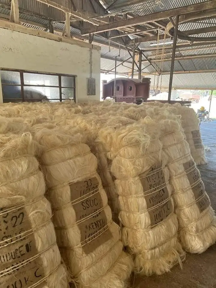 Exporters Premium Sisal Fiber (100% Natural Sisal) - Buy Sisal Fiber, Gypsum Sisal Fiber, Sisal Fiber From Tanzania Product