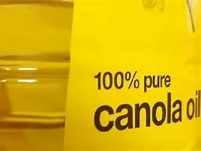 High Quality Canola Rapeseed Oil Pure Refined at Very Low Factory Price