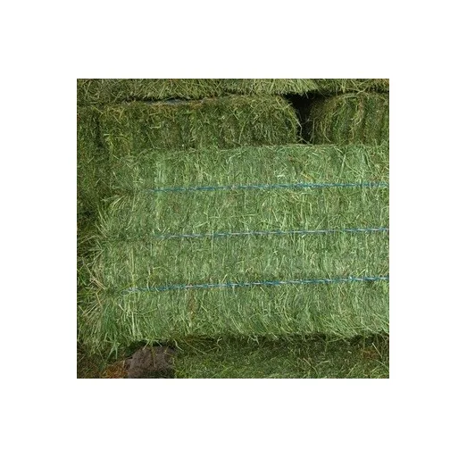 Premium Grade Alfalfa Hay for Animal Feeding Stuff Alfalfa / Alfalfa Hay farm price