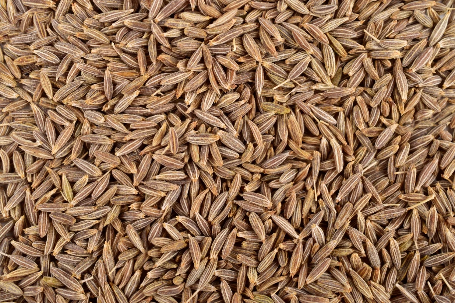 Крупная покупка семена натурального кумина лучшего качества 100% чистые и Органические Пищевые производитель из Индии
