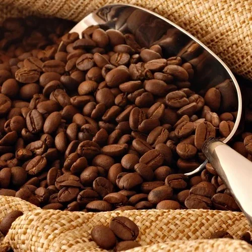 Organic Coffee High Quality Organic Coffee Whole Grain and Enriched Taste Best Flavored Brazil Raw Coffee Beans