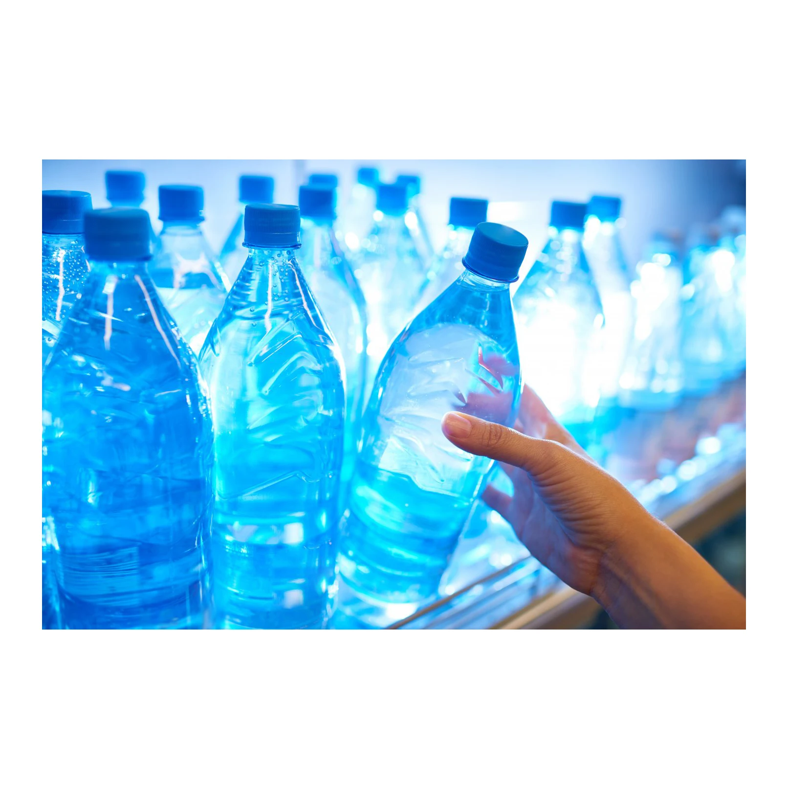 Fresh Hot washed 100% clear PET bottle scrap / PET flakes white / recycled PET Resin