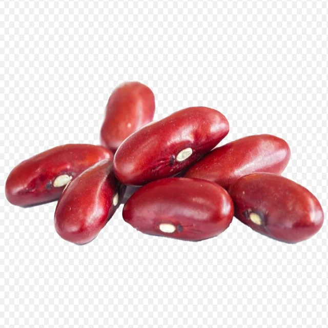 Wholesale Top Quality Red kidney Beans In Cheap Price Wholesale Dried Dark Red Kidney Bean long shape Kidney Beans