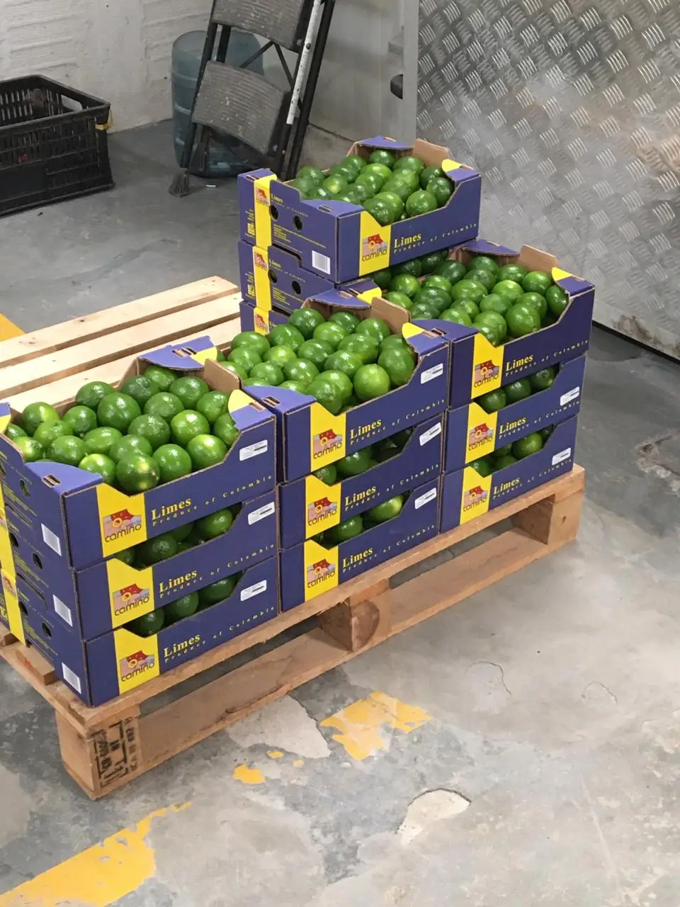 Lime Green OEM Package Weight Size- Low MOQ Support Grade lemon Fresh Seedless Lime Lifefoods from Vietnam