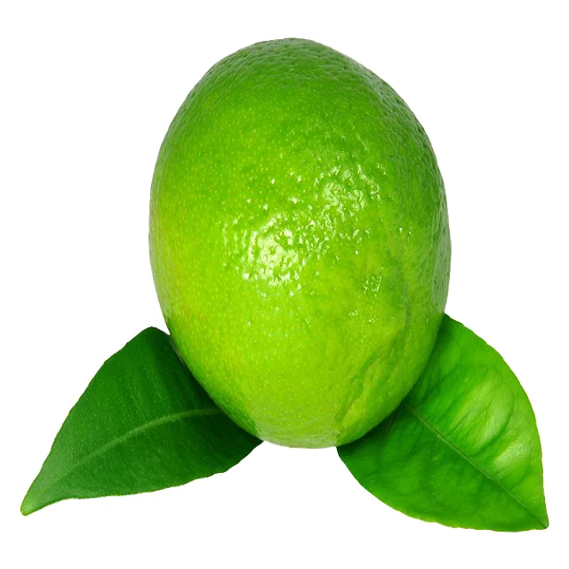 Best Grade Fresh Lemon / Fresh Lime in Bulk Competitive Price Wholesale