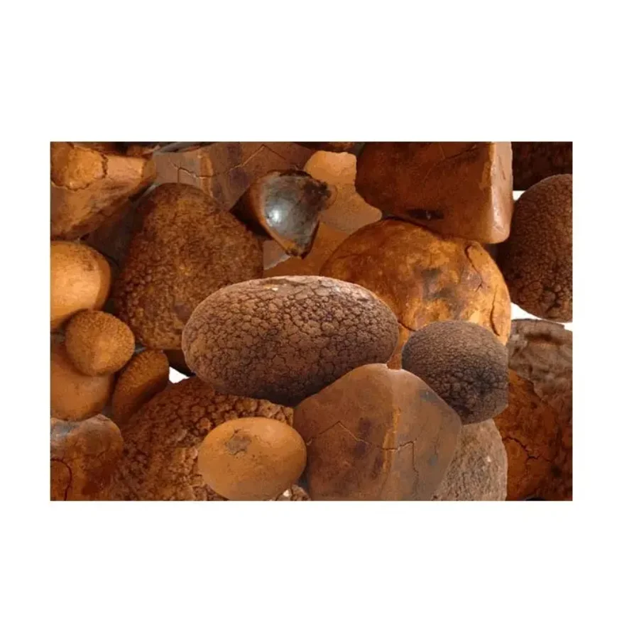 Premium Quality Ox Gallstones Sourced from Cattle Top-Grade Cow Gallstones for Traditional Medicine