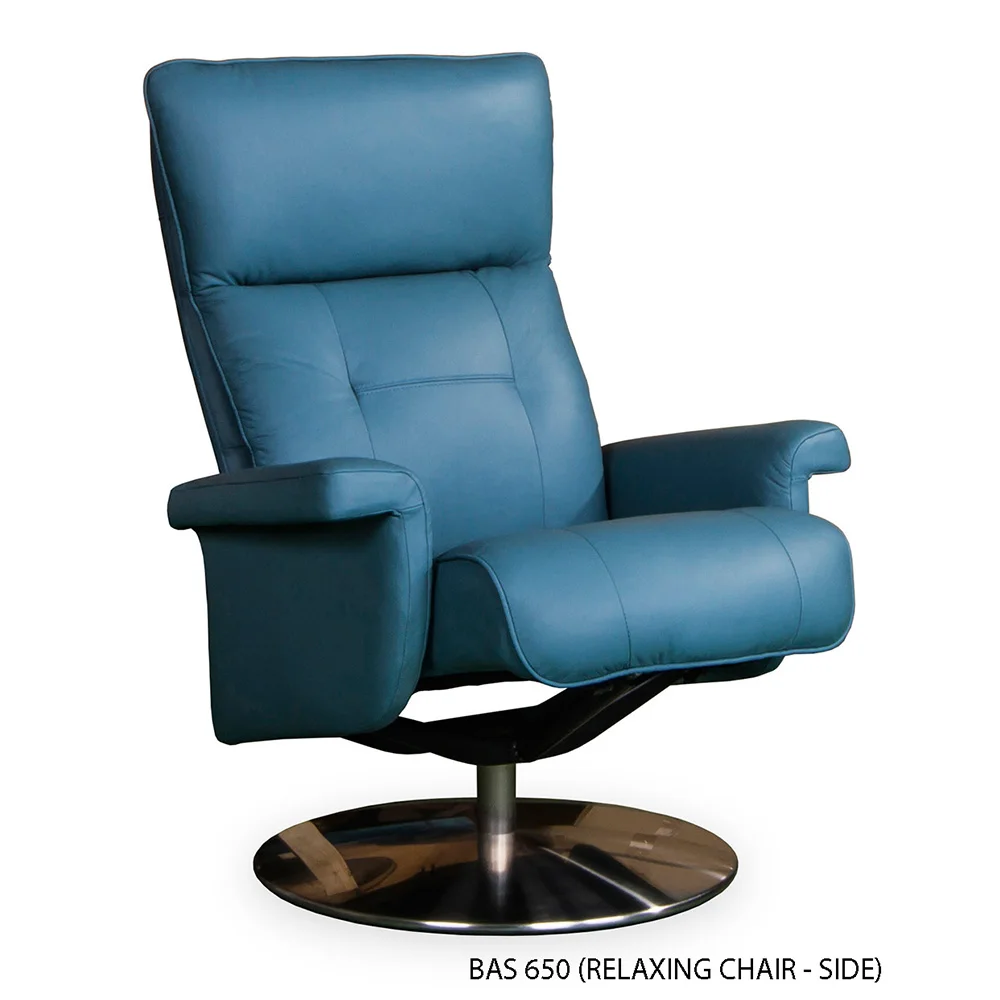BAS 650 (RELAXING CHAIR 1).jpg