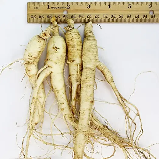 Buy Wholesale Quality American Wisconsin Ginseng