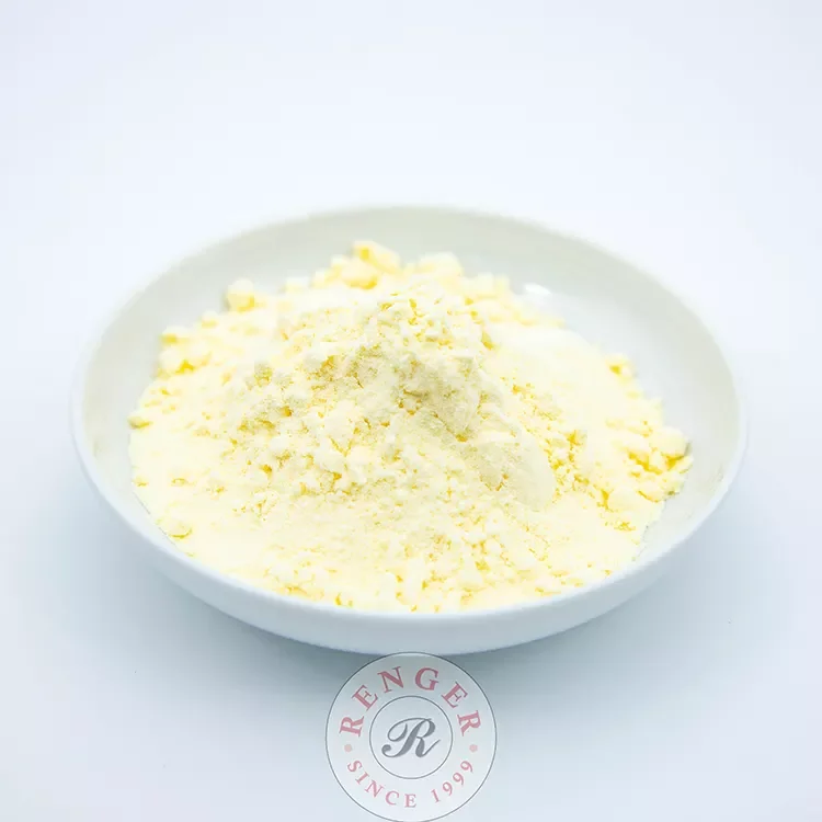 Easily Soluble Colorants Flavoring Agents Safety Food Additives Powder Cheese White Dried Cheese Powder
