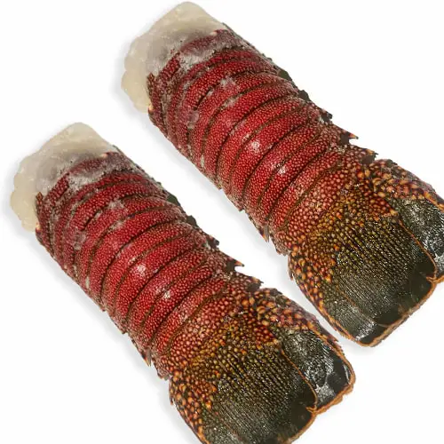 Fresh and frozen Lobster - Live Lobster - Fresh Lobster for sale.