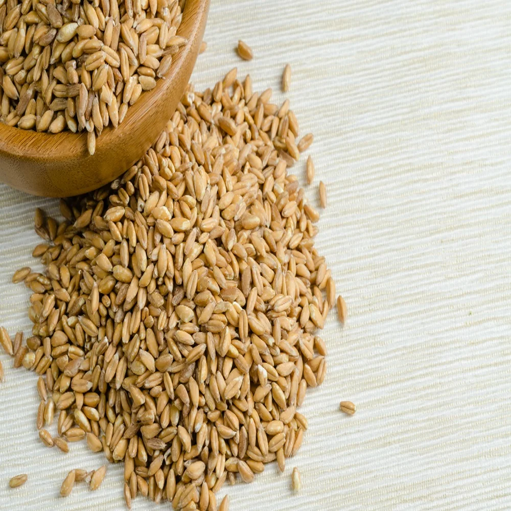 Best Market Price Wholesale Wheat Grain Top Quality Whole Wheat from South Africa Wheat Grain