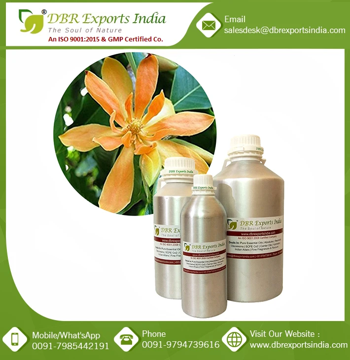Bulk Champaka absolute Oil Manufacturer of Champaka absolute oil #1 michelia champaca oil supplier from India