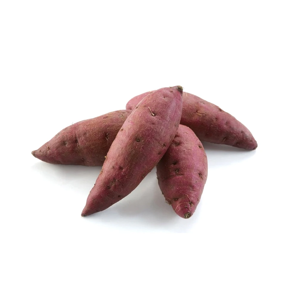 New Crop Best Quality Natural Vegetables Delicious Taste Crop Sweet Potato