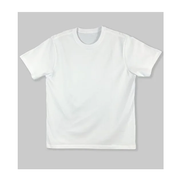 2023 Latest Collection Of Premium Quality Plain T-shirts In Multiple Colors Available At Lower Pricing