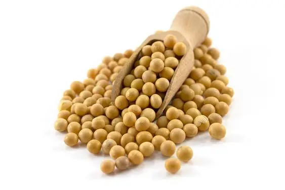 Brazilian Soybean powder milk 18% Protein Instant Unsweetened
