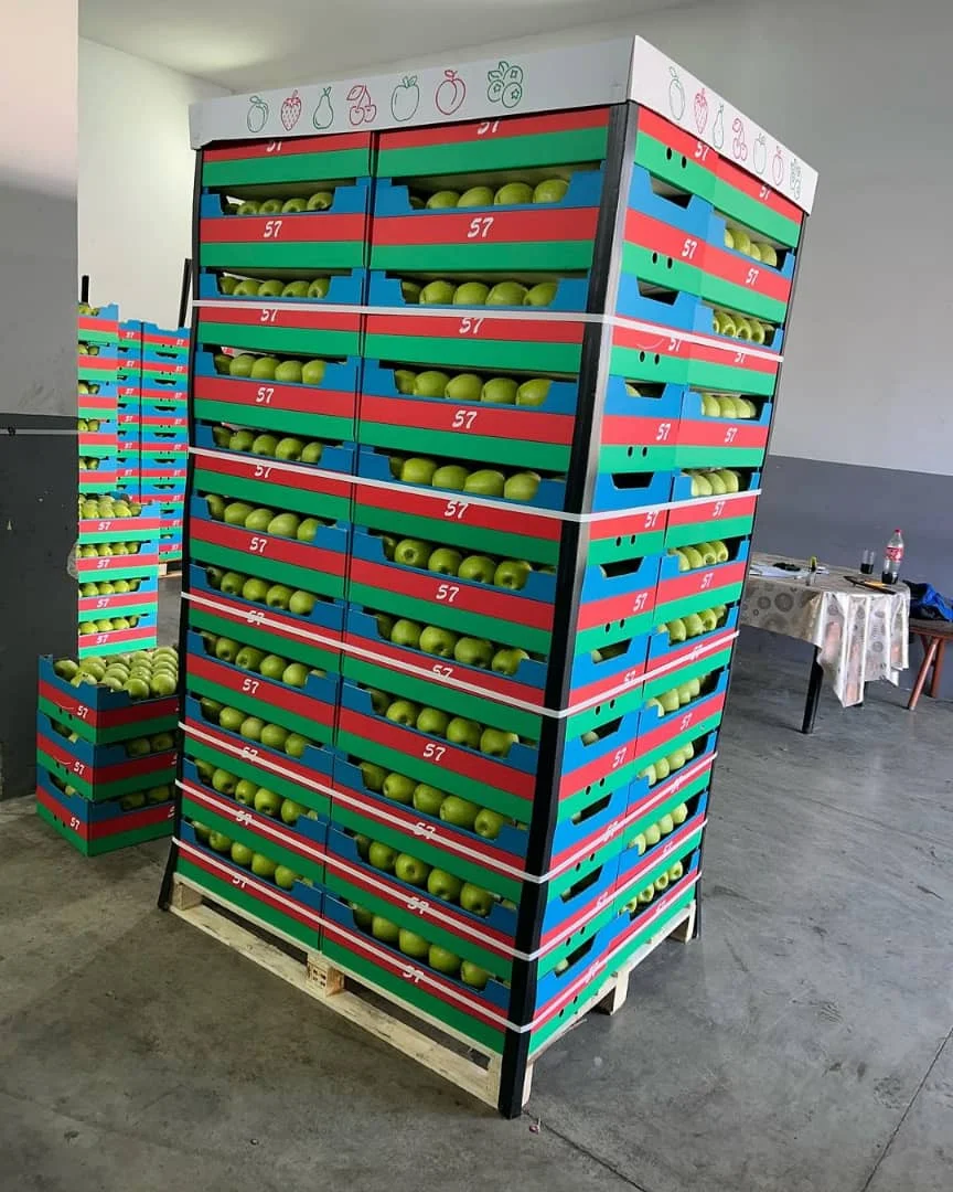 fresh royal gala apples from fresh fruits farms