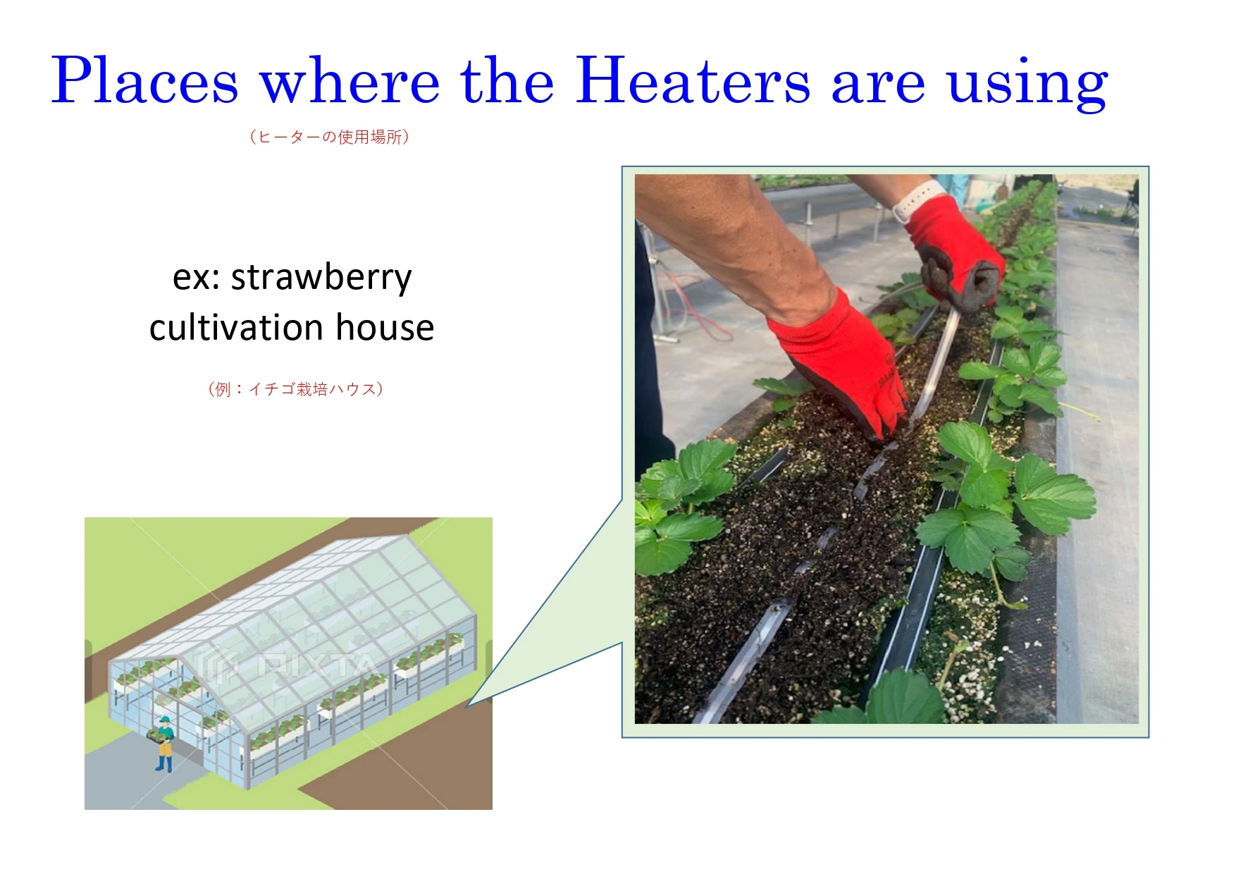 Self-Heated Outdoor Floor Cables with Temperature Sensor Connection Plants for Agriculture Weatherproof Seal