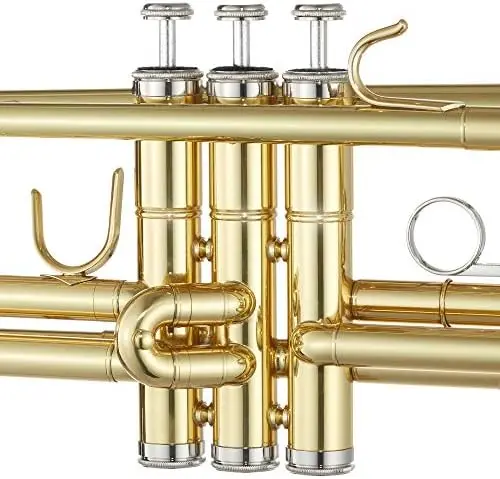 Ashthorpe Standard Bb Trumpet with Gold Brass Finished - Includes Case, Mouthpiece, Gloves, Cleaning Cloth, Valve Oil