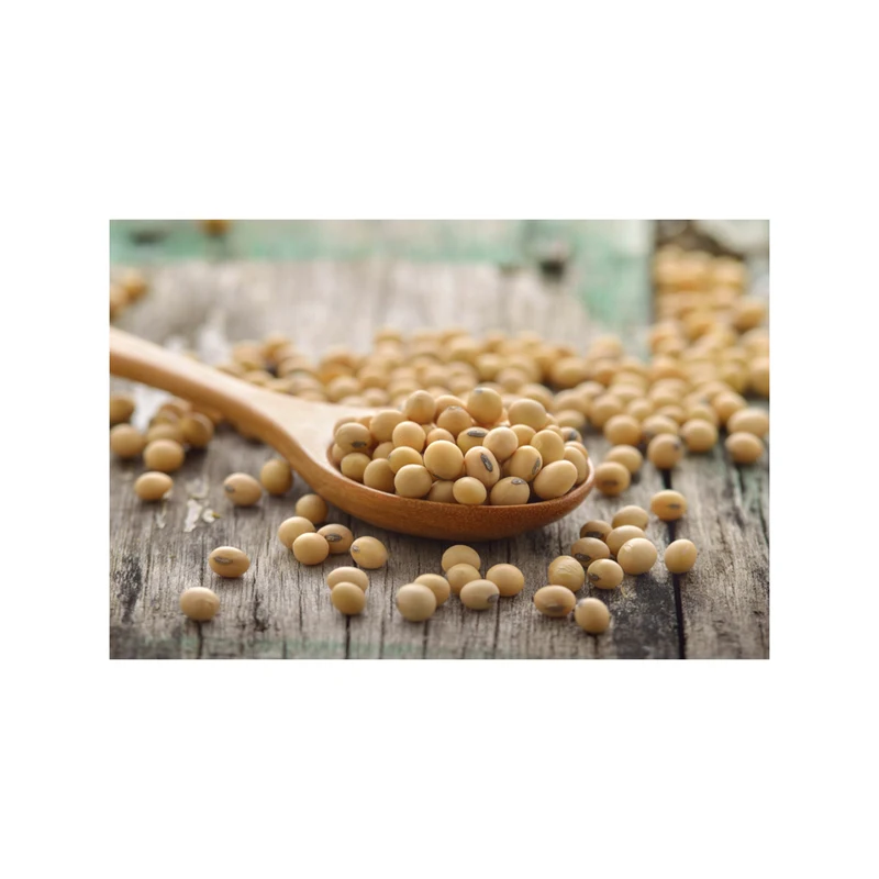 Wholesale Yellow Grade 1 Non-GMO Soya/Soja/Soybeans Organic Soybeans