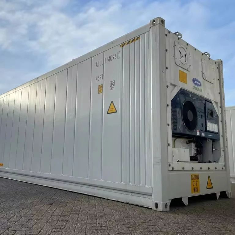 Premium Hot Selling 20ft 40ft Refrigerator container New and Used Refrigerated container Available