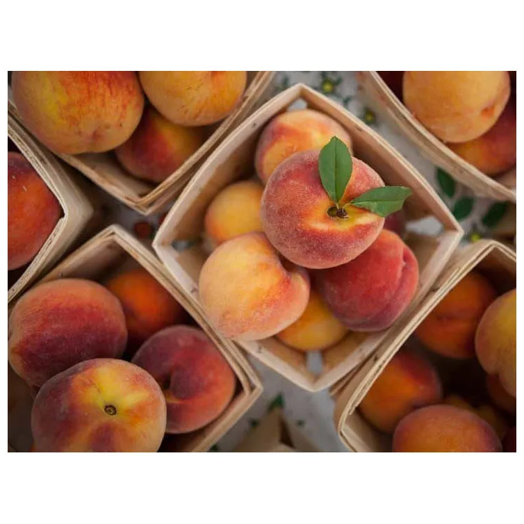 hot High Quality Wholesale Cheap Price Exporters Products Fresh Sweet Peaches Fruits For Sale Premium Quality Organic Juicy SALE