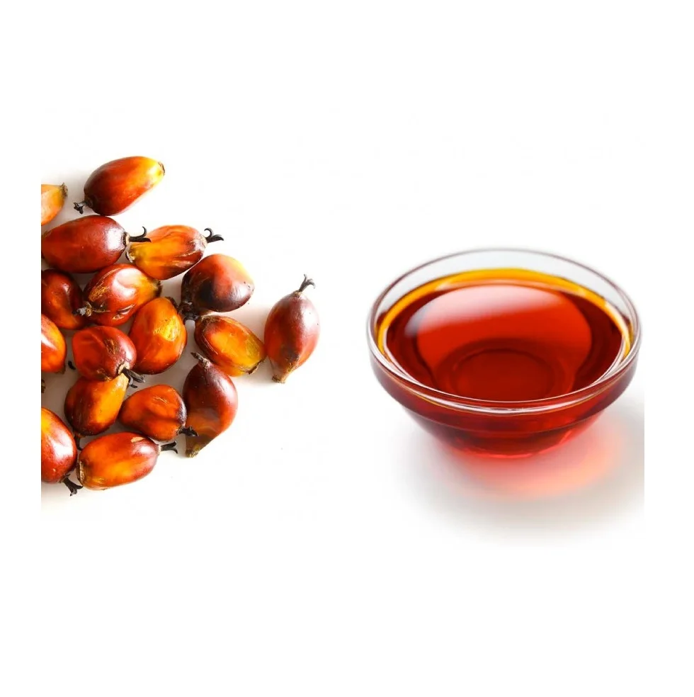 Good Quality Cheap Price RBD Palm Olein - Crude Palm Oil 100% Refined Oil For Export