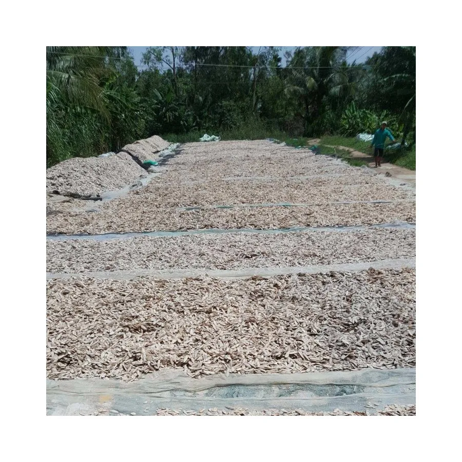 Bleached Unbleached Dried Cuttlefish Bones Natural High Quality Sun Dry Trimmed Untrimmed