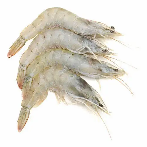 Buy Frozen Prawns Online in the UK in Bulk