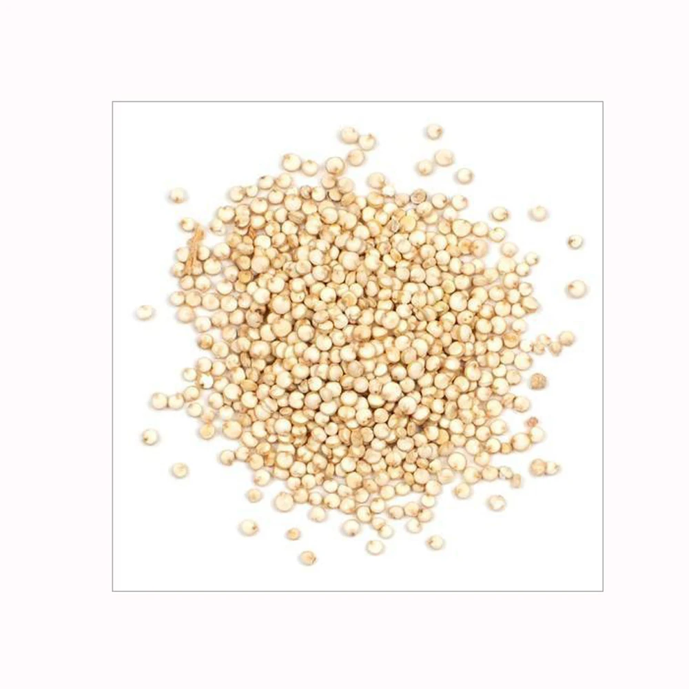 Best Factory Price of Natural Organic Seeds White Quinoa Grains Health care Grains Available In Large Quantity