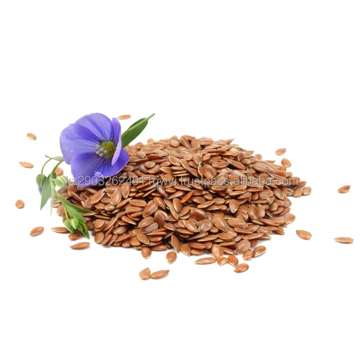 Edible golden flax seeds natural organic flax vegan superfood healthy for women contain omega 3 protein