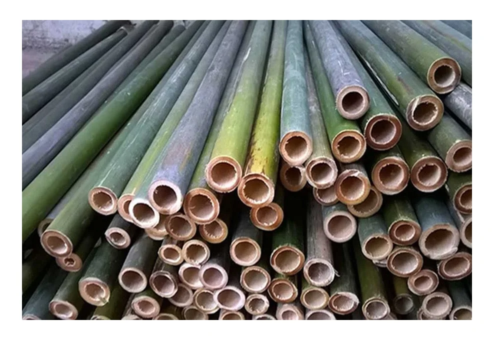 Quality Bamboo Export In Bulk With Competitive In The Market/ Split Half Cut Bamboo Poles Natural Materials Cheap Price