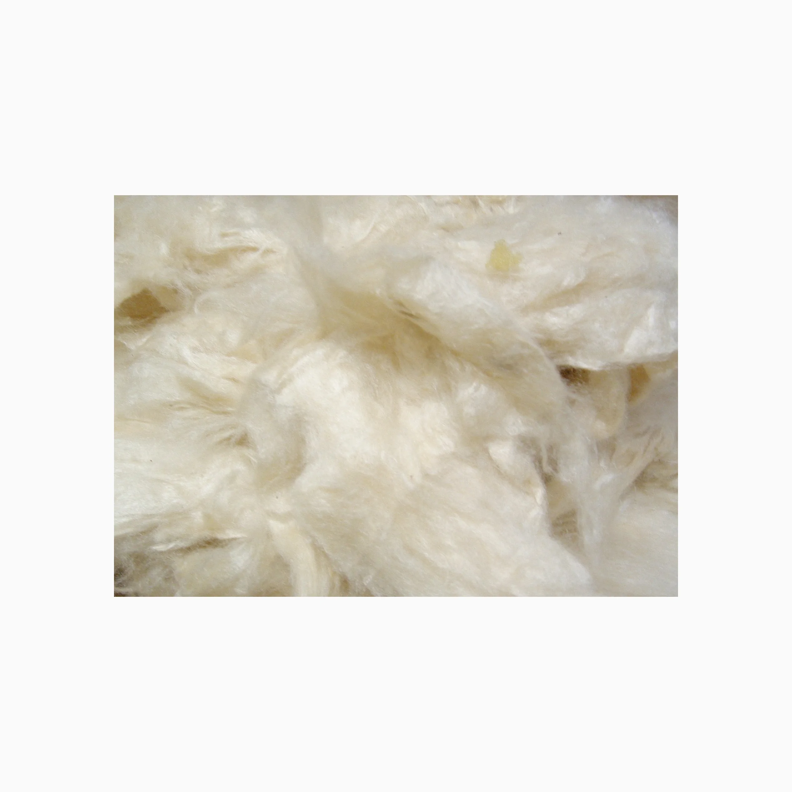 Organic raw cotton bales Ready For International Market