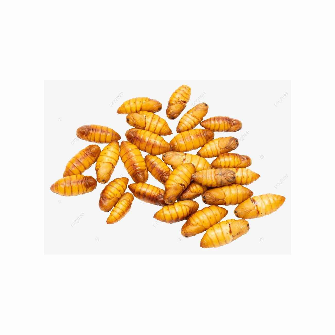 Premium-quality silkworm pupae meal available in bulk for animal nutrition