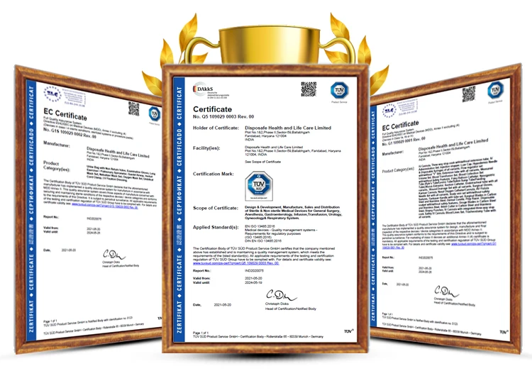 Experts in Manufacturing High Accuracy Infusion Therapy Ultra Sharp Silconised SS Needle Dispoflon IV Cannula (IV Catheter)