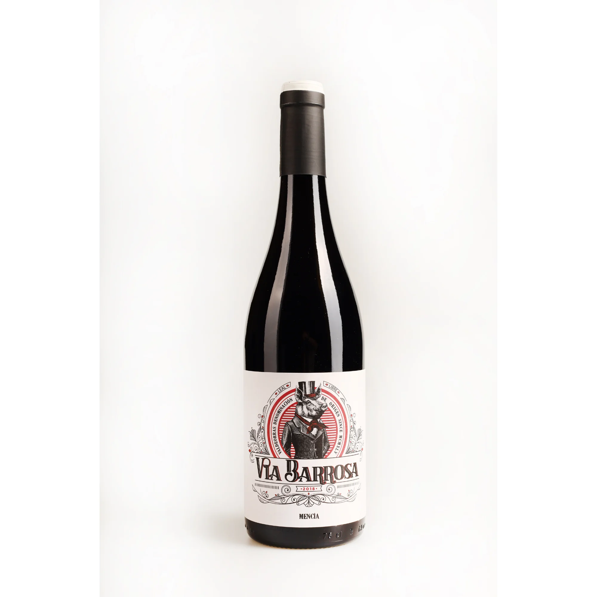 Red wine from Spain | Via Barrosa Mencia 2021 DO Valdeorras | Packaging 750ml glass bottle | Vina Costeira