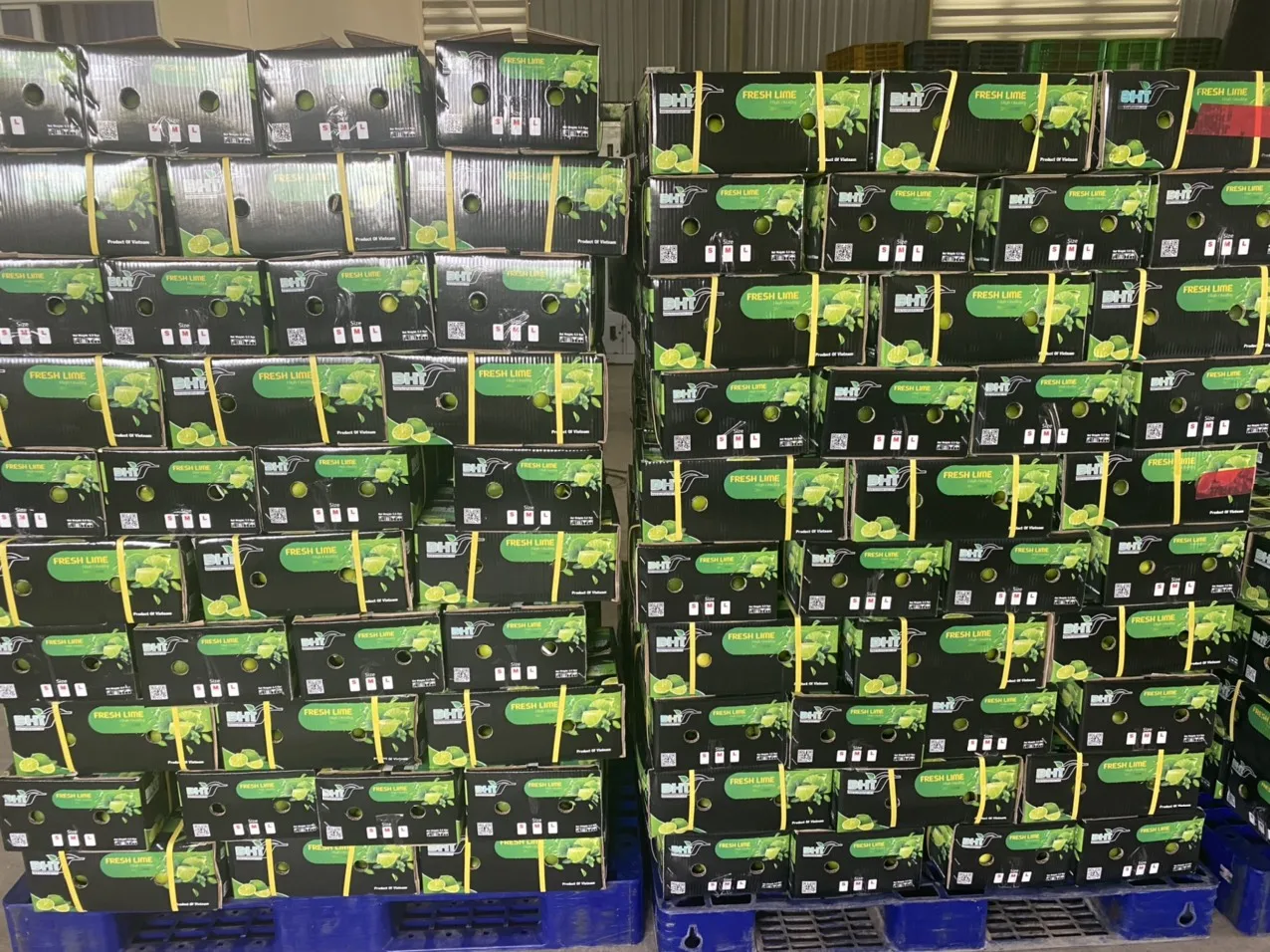 Lemons Fresh for sale/ Fresh Green Seedless Lime Vietnam/ Wholesale GREEN LEMON in Hoang Kim Viet Nam