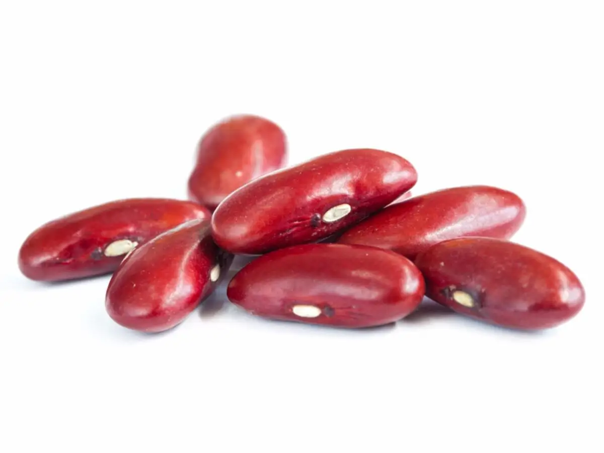 Dried Light Red Kidney Beans  20 lb