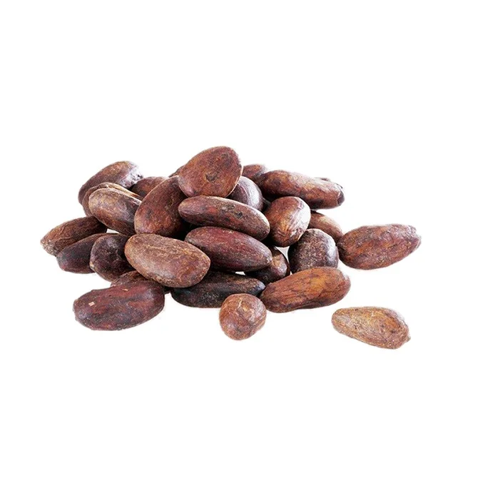 Unroasted Cocoa Beans in Stock | Buy Raw and Roasted Cocoa Beans in Bulk Good Prices