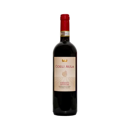 Organic Red Table Wine 2020 Chianti DOCG 0,75lt Bottle