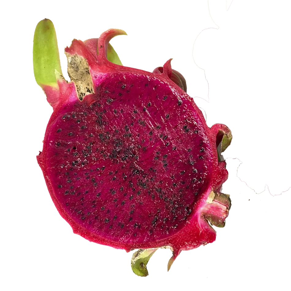 High Quality Tropical Fresh Red Dragon Fruit Gift Sweet Bulk Sales Carton Box Wooden Packaging Made In Vietnam Manufacturer