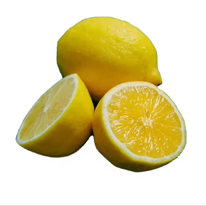FRESH LEMON HIGH QUALITY AND TOP GRADE/GOOD PRICE FOR SALE/EXPORT FROM VIET NAM/100% FRESH NATURAL