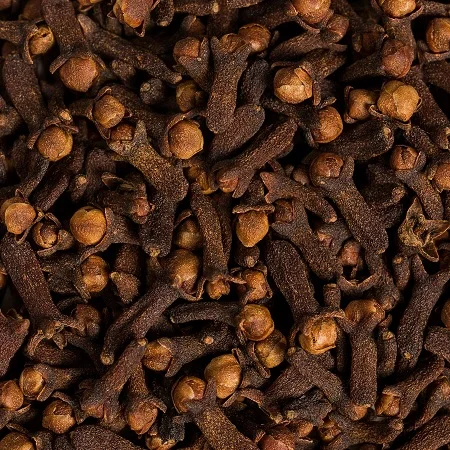 High Quality Dried Clove Spice Dry Cloves at Cheap Wholesale Price