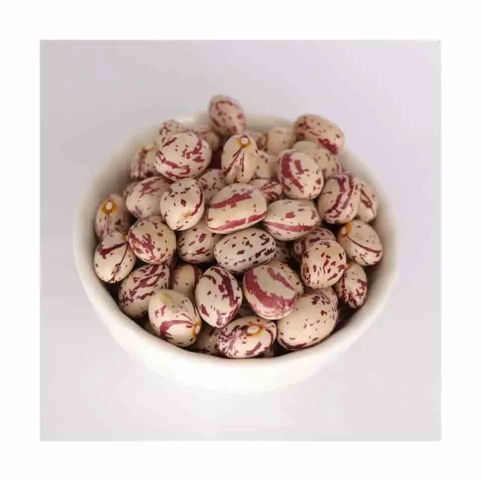 Wholesale Cranberry Jugo Red Speckled Kidney Beans sugar pinto beans