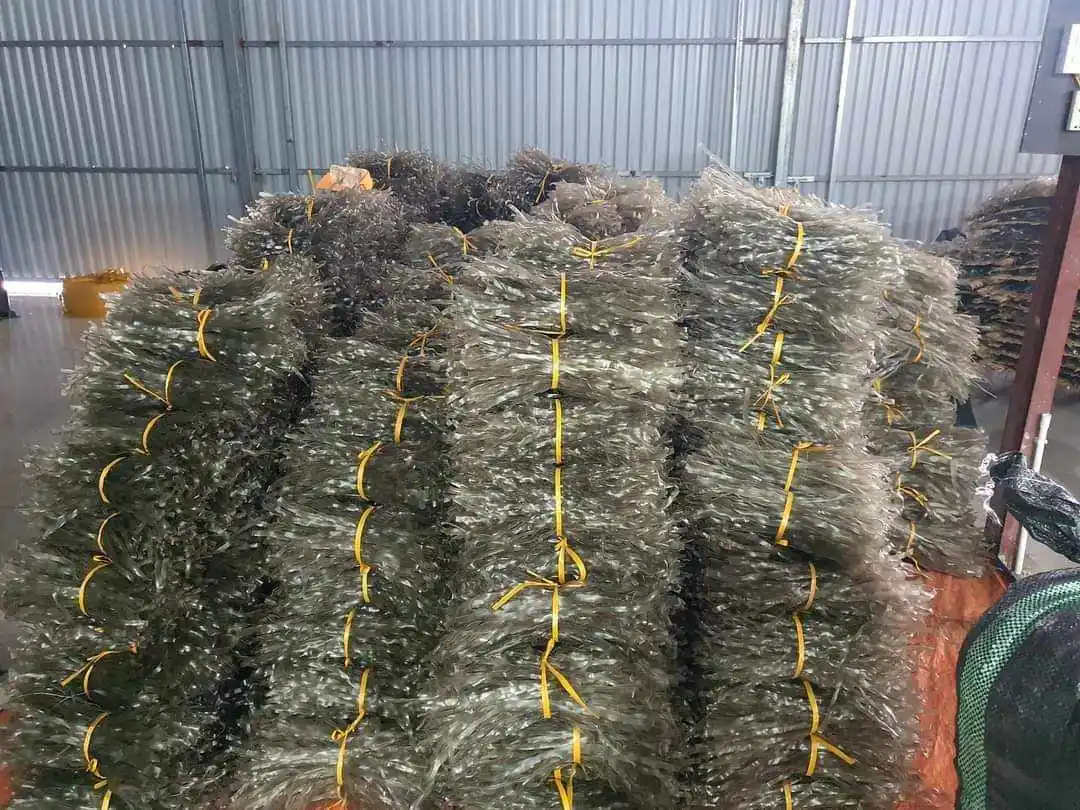 Rice Vermicelli Hot Pot Food Dried Noodles Non  Gluten Free Pea Dried Crystal Glass Noodles Vermicelli