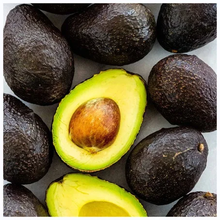 BEST ORGANIC FRESH AVOCADO FRUIT/ HASS AVOCADO ON SALE Premium Quality Fresh Avocado  Exporter AT WHOLESALE