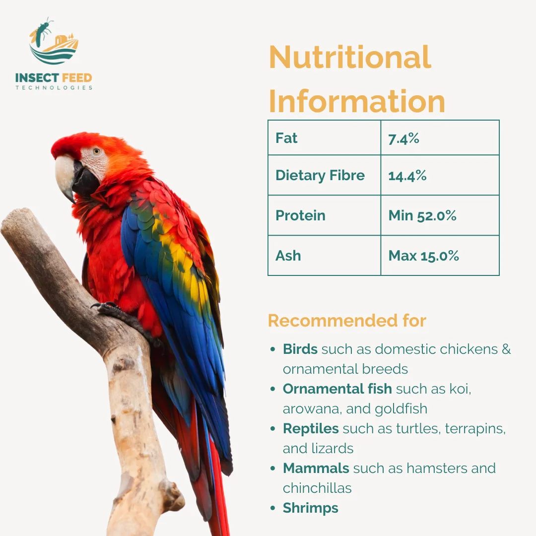 Customization Applicable Wholesale Milled Larvae for Pets Protein Powder Black Soldier Fly Natural Animal Feed Better Taste